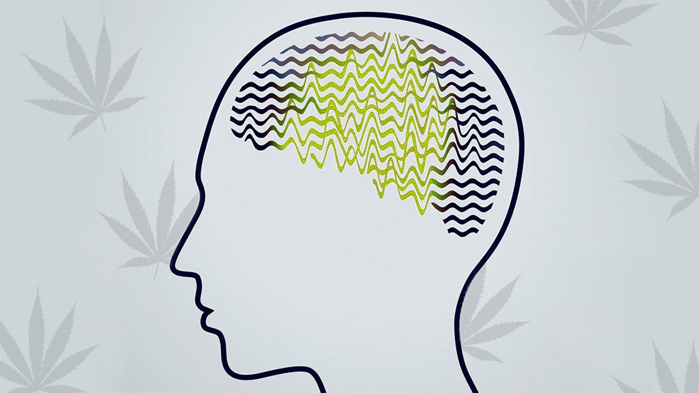 Blog single image
